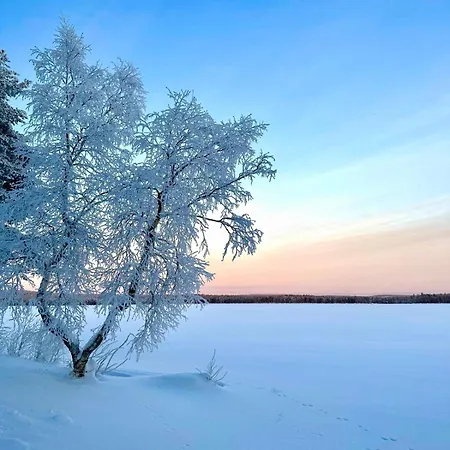 Lumo Lapland X *
